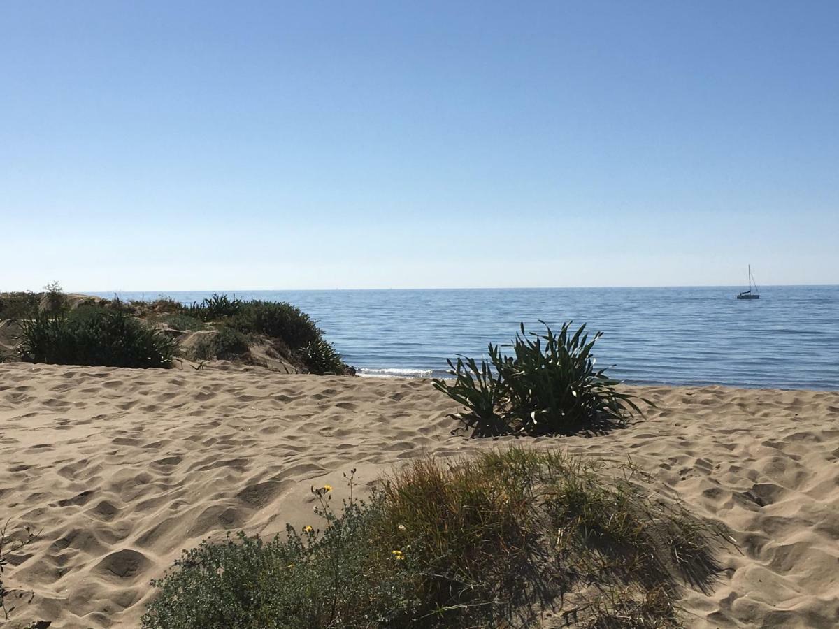 Estudio Primera Linea 50 Mtrs Playa. Fibra 600Mb Marbella Exteriör bild